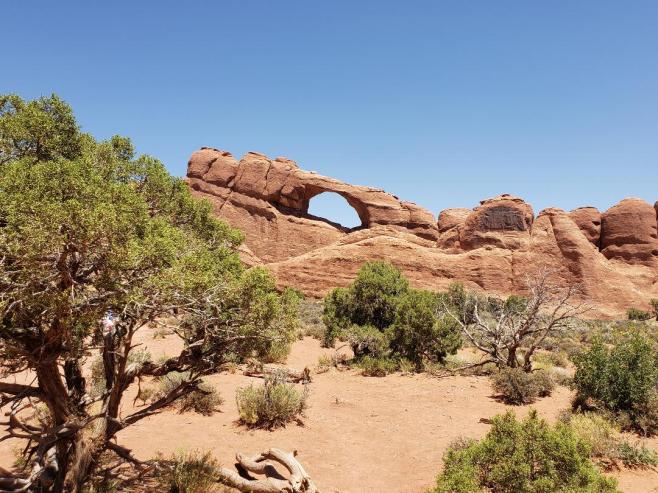 Arches 6